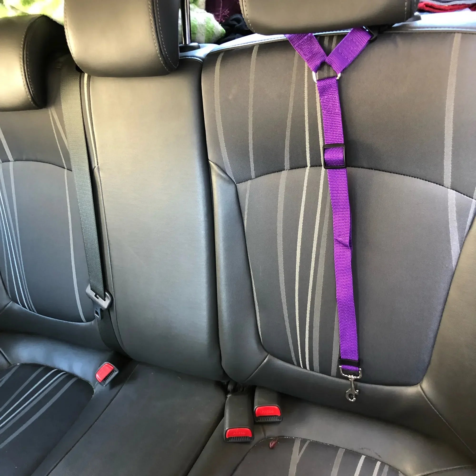 Safety Belt Adjustable Dogs/Cats
