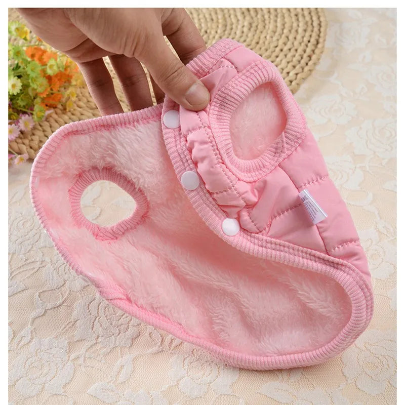 ''The Dog Face'' Designer Trendy Dog Clothes