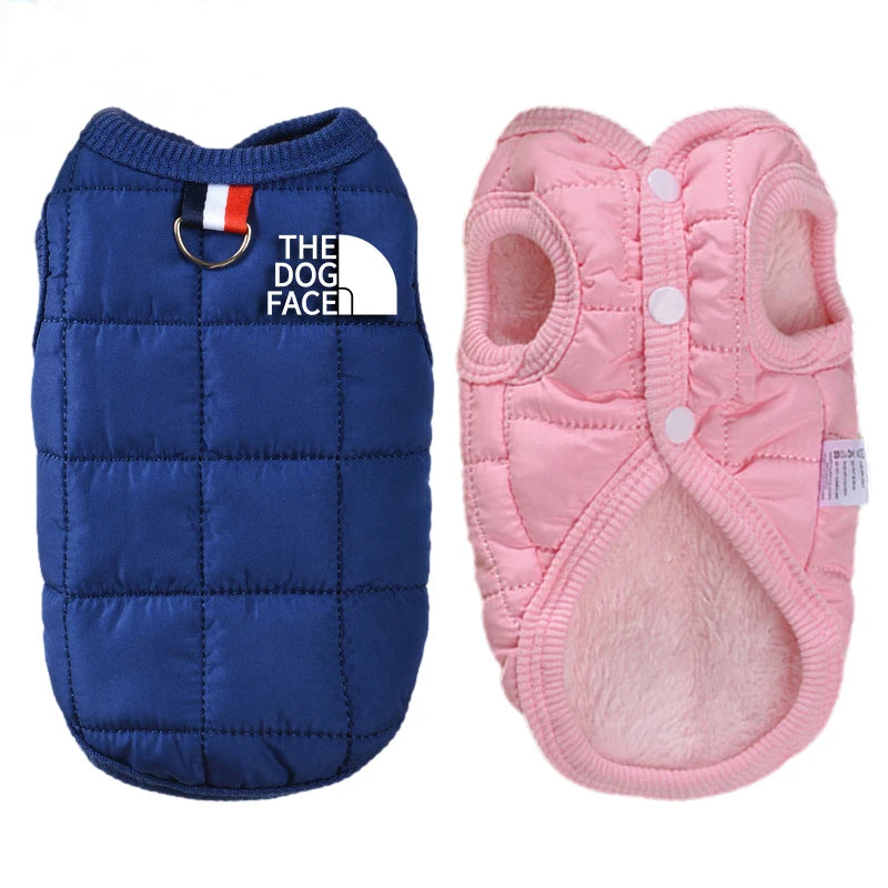 ''The Dog Face'' Designer Trendy Dog Clothes
