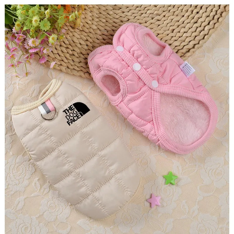 ''The Dog Face'' Designer Trendy Dog Clothes