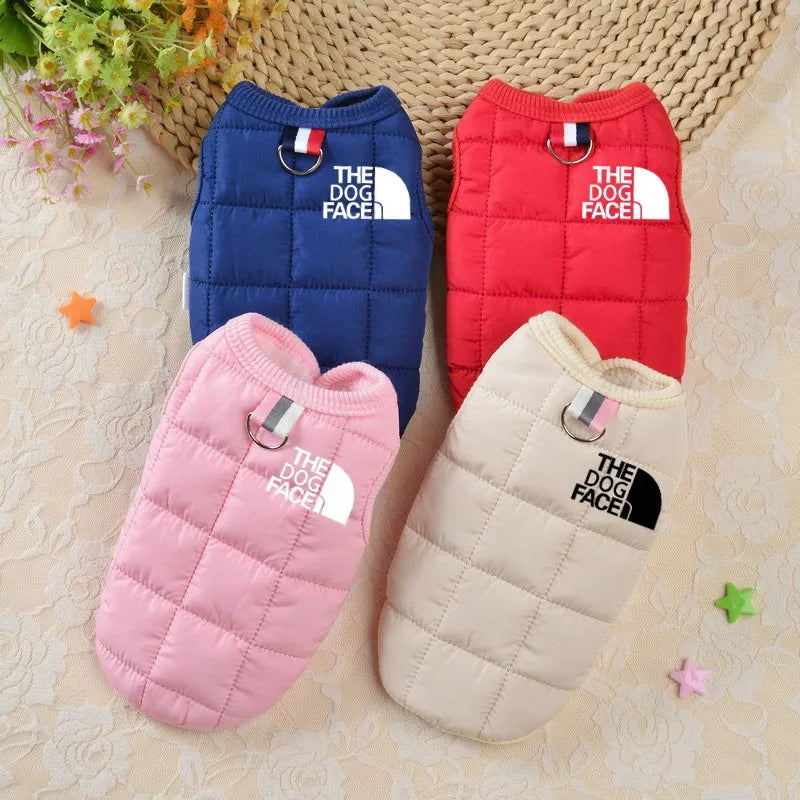 ''The Dog Face'' Designer Trendy Dog Clothes