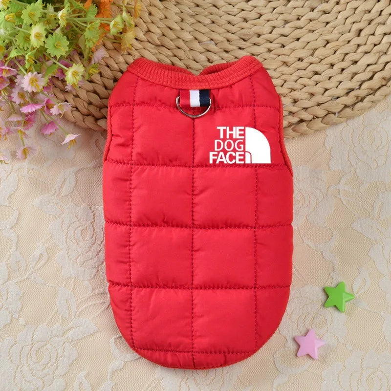 ''The Dog Face'' Designer Trendy Dog Clothes